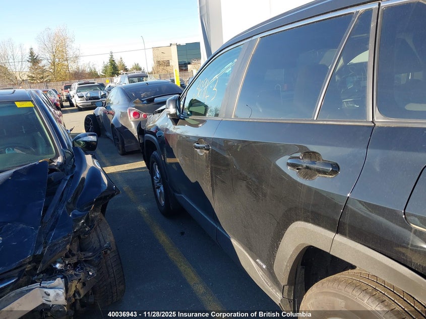 2025 Toyota Rav4 VIN: 2T3RWRFV7SW282312 Lot: 40036943