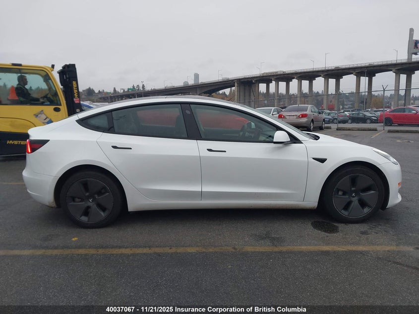 2023 Tesla Model 3 VIN: 5YJ3E1EAXPF501155 Lot: 40037067
