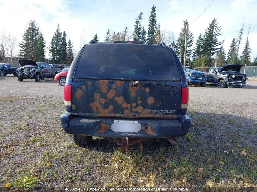 2002 Chevrolet Blazer VIN: 1GNDT13W42K195565 Lot: 40032549