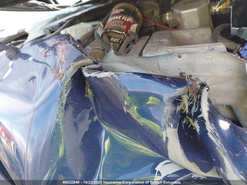 2002 Chevrolet Blazer VIN: 1GNDT13W42K195565 Lot: 40032549