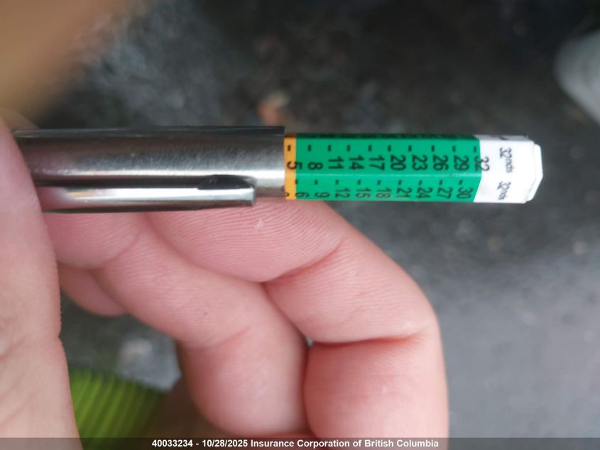 2021 Tesla Model 3 VIN: 5YJ3E1EA5MF843351 Lot: 40033234