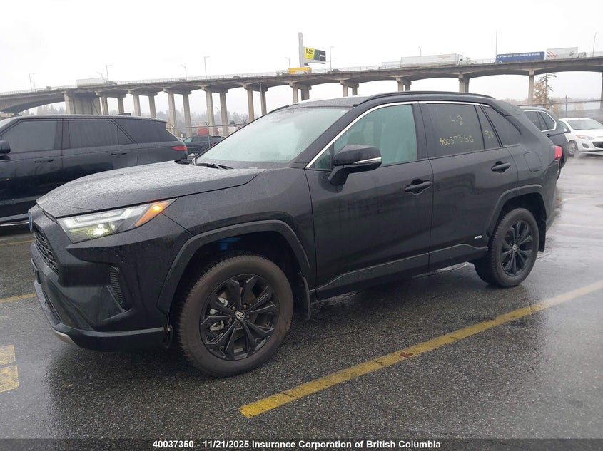 2T34WRFV9RW251079 2024 TOYOTA RAV 4 photo no. 2