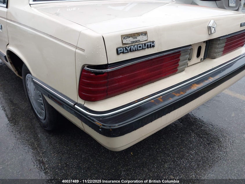 1P3BP36K8GC188676 1986 PLYMOUTH RELIANT photo no. 19