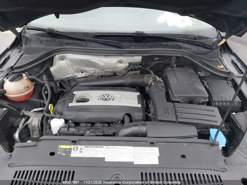 WVGJV3AX8EW551392 2014 VOLKSWAGEN TIGUAN photo no. 10