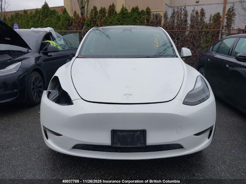 2023 Tesla Model Y VIN: 7SAYGDEE4PF781081 Lot: 40037705