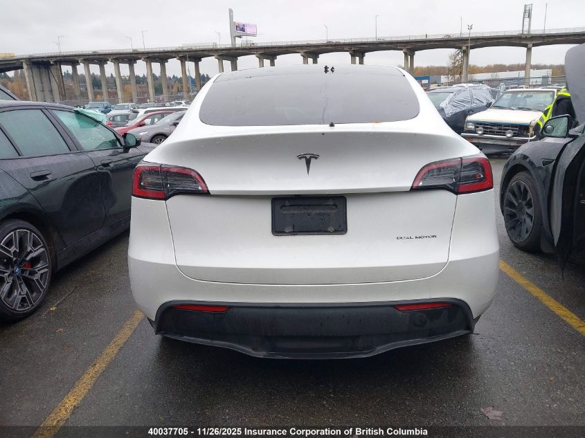 2023 Tesla Model Y VIN: 7SAYGDEE4PF781081 Lot: 40037705