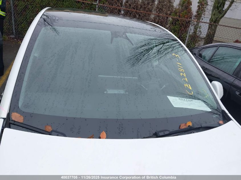 2023 Tesla Model Y VIN: 7SAYGDEE4PF781081 Lot: 40037705