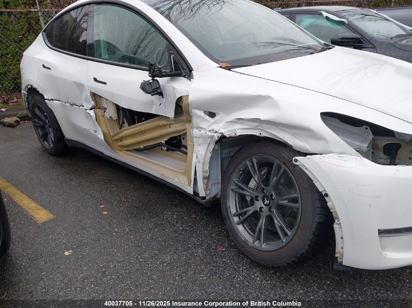 2023 Tesla Model Y VIN: 7SAYGDEE4PF781081 Lot: 40037705