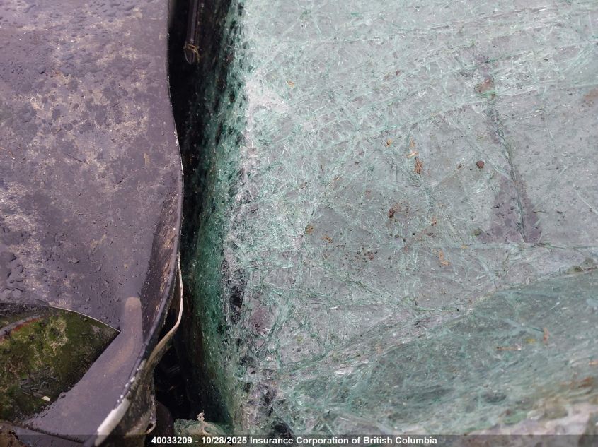 2014 Ford Mustang V6 Premium VIN: 1ZVBP8AM9E5205389 Lot: 40033209