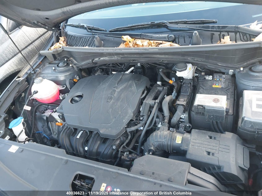 2023 Kia Sportage X Line Limited VIN: KNDPXCAFXP7197338 Lot: 40036623