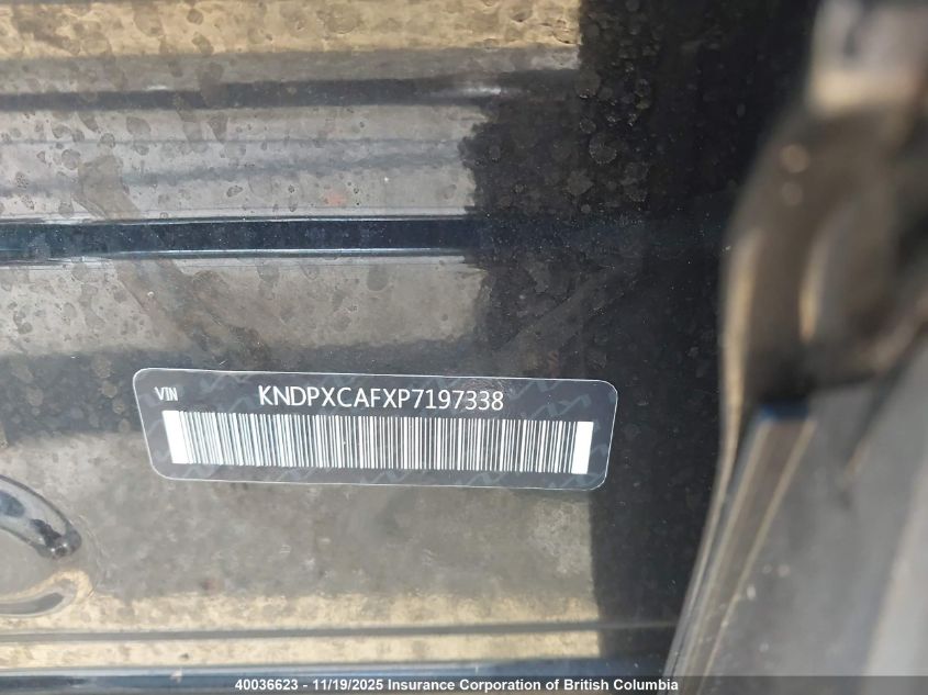 2023 Kia Sportage X Line Limited VIN: KNDPXCAFXP7197338 Lot: 40036623