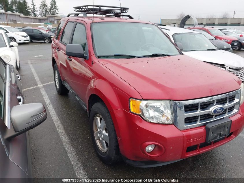FORD ESCAPE XLT