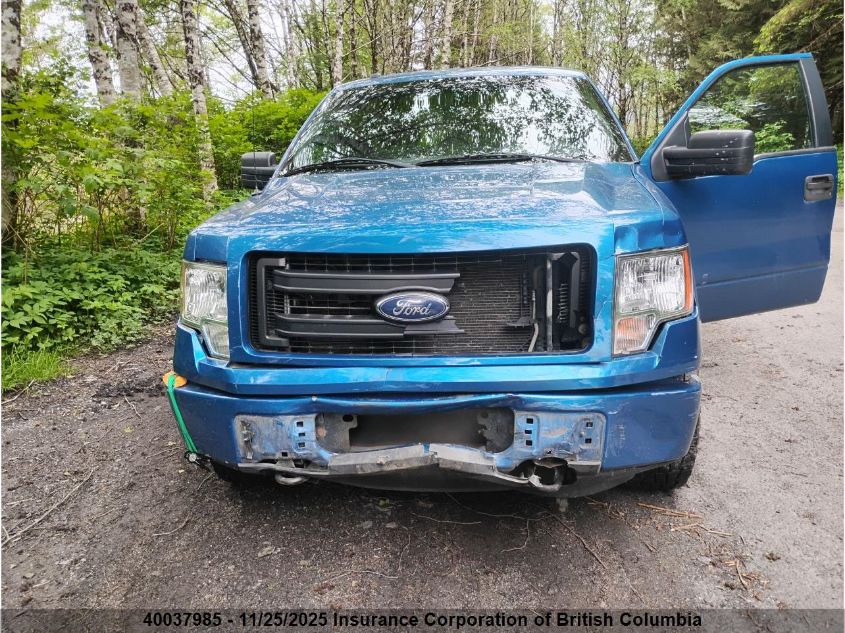 2013 Ford F150 VIN: 1FTMF1EM2DKD66926 Lot: 40037985