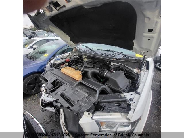 1FTEW1EP5GFB79675 2016 FORD F-150 photo no. 8