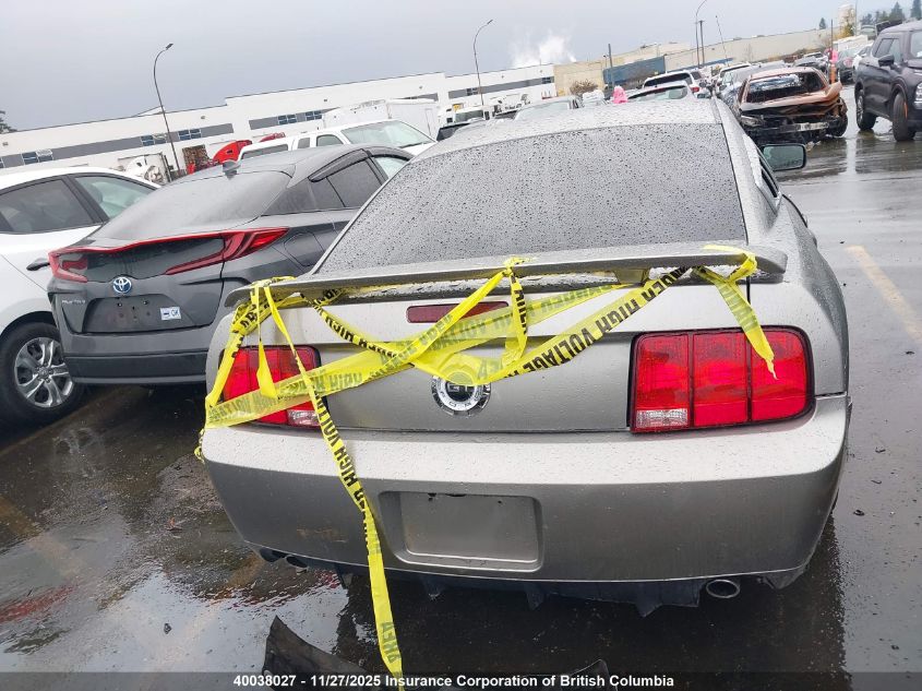 2009 Ford Mustang Gt VIN: 1ZVHT82HX95114323 Lot: 40038027