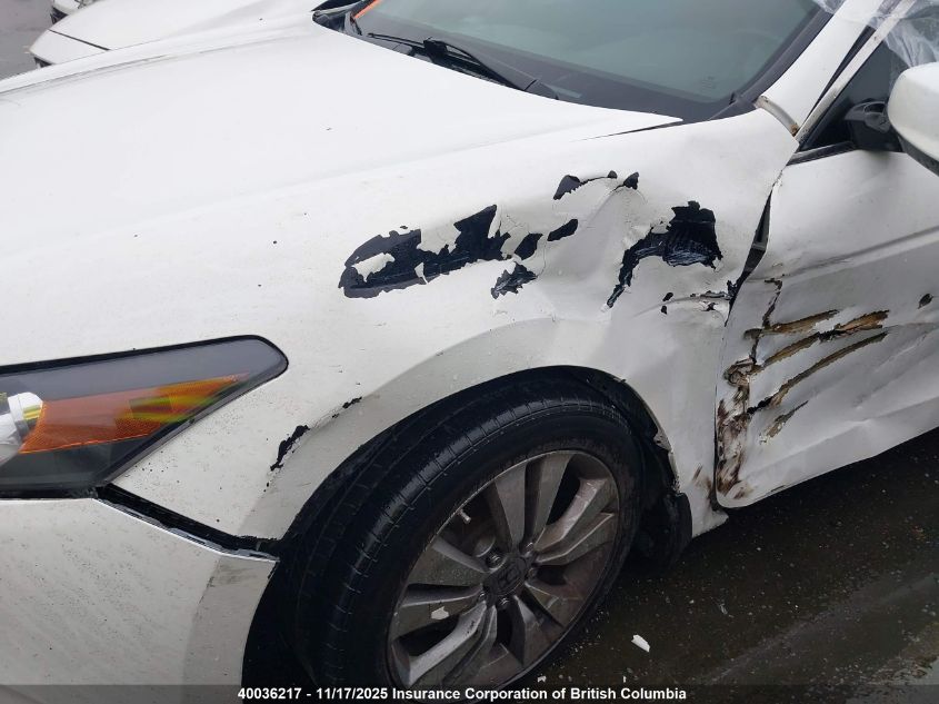 2008 Honda Accord Exl VIN: 1HGCS11838A801434 Lot: 40036217