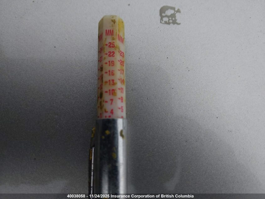 2006 Honda Odyssey Ex VIN: 5FNRL38406B501424 Lot: 40038058