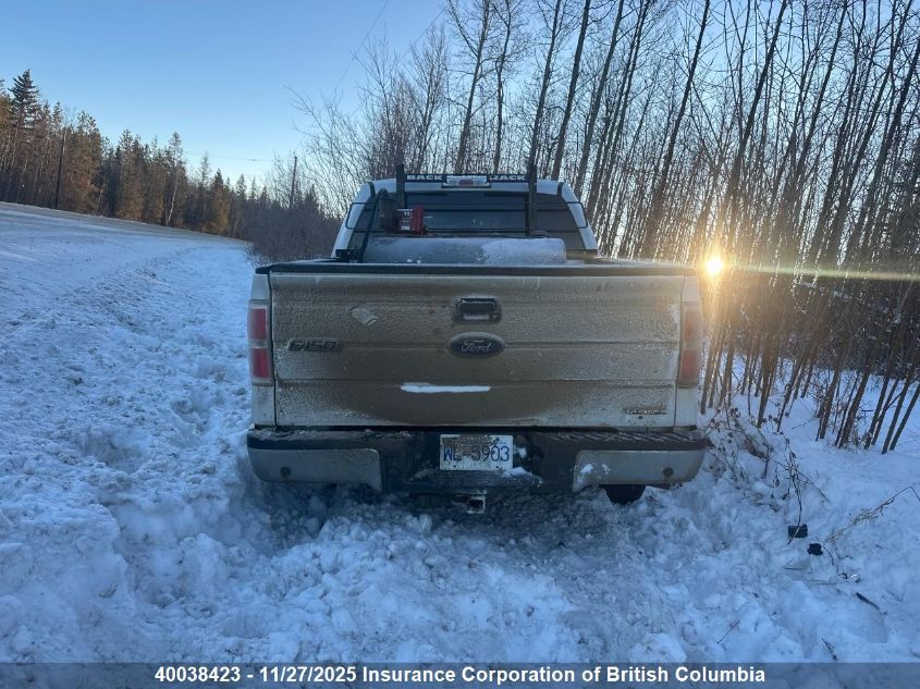 2014 Ford F150 VIN: 1FTFW1EF5EFC53668 Lot: 40038423