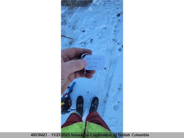 2014 Ford F150 VIN: 1FTFW1EF5EFC53668 Lot: 40038423