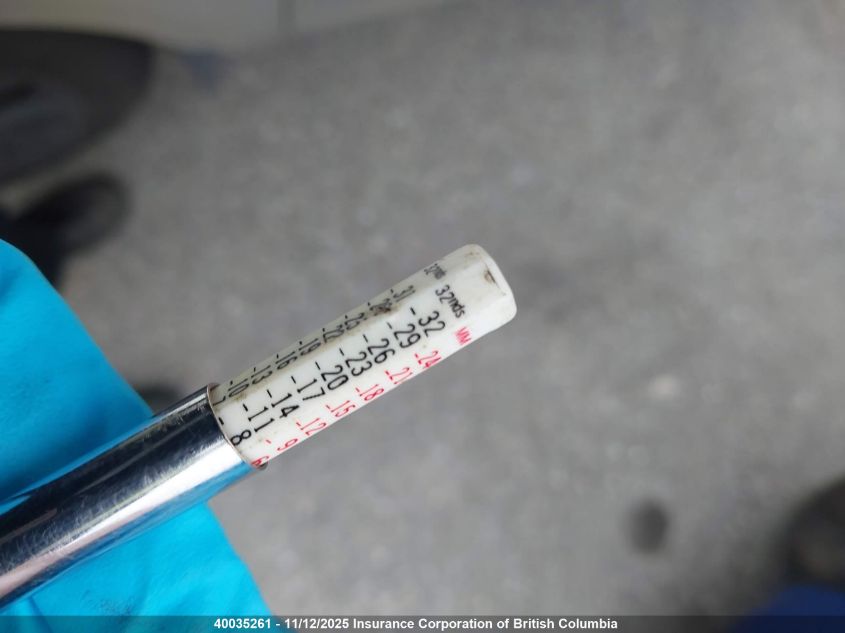 2009 Mazda 3 I VIN: JM1BK32F391195878 Lot: 40035261