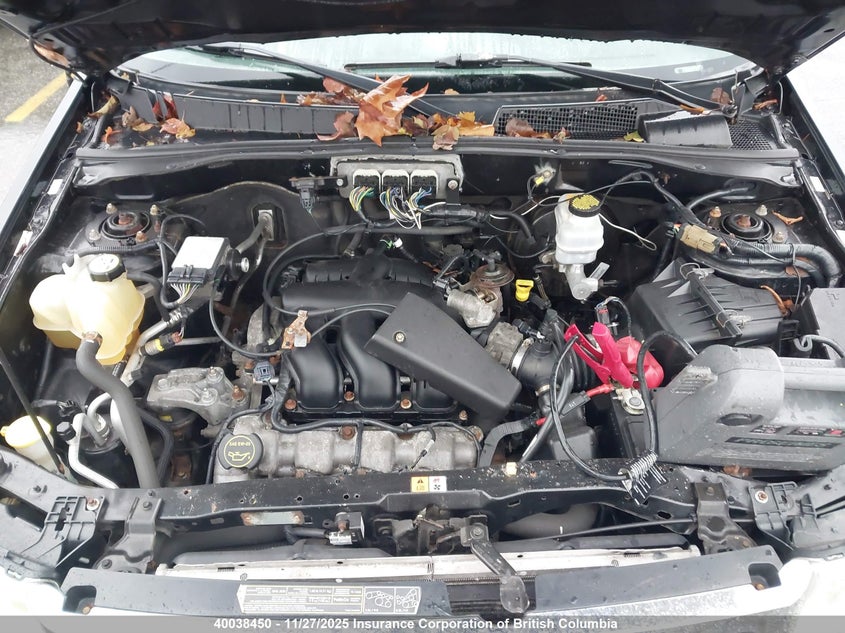 2008 Ford Escape Xlt VIN: 1FMCU031X8KD33677 Lot: 40038450