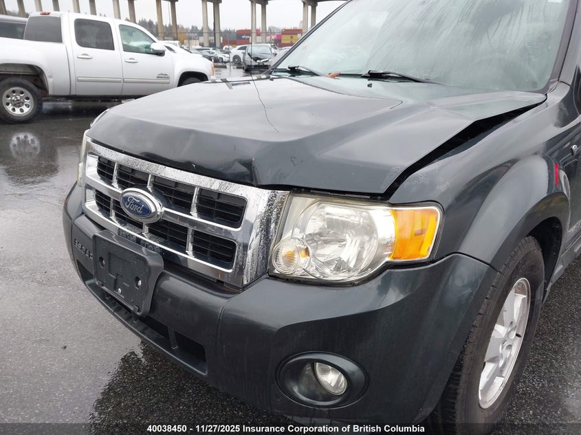 2008 Ford Escape Xlt VIN: 1FMCU031X8KD33677 Lot: 40038450