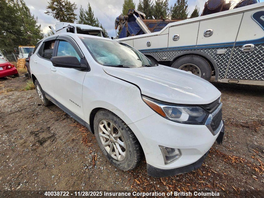 2GNAXHEV9L6204835 2020 Chevrolet Equinox Ls auction photo 1