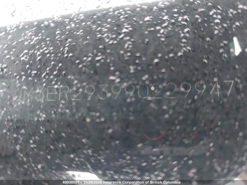 2009 Mazda Cx-7 VIN: JM3ER293990229947 Lot: 40038597