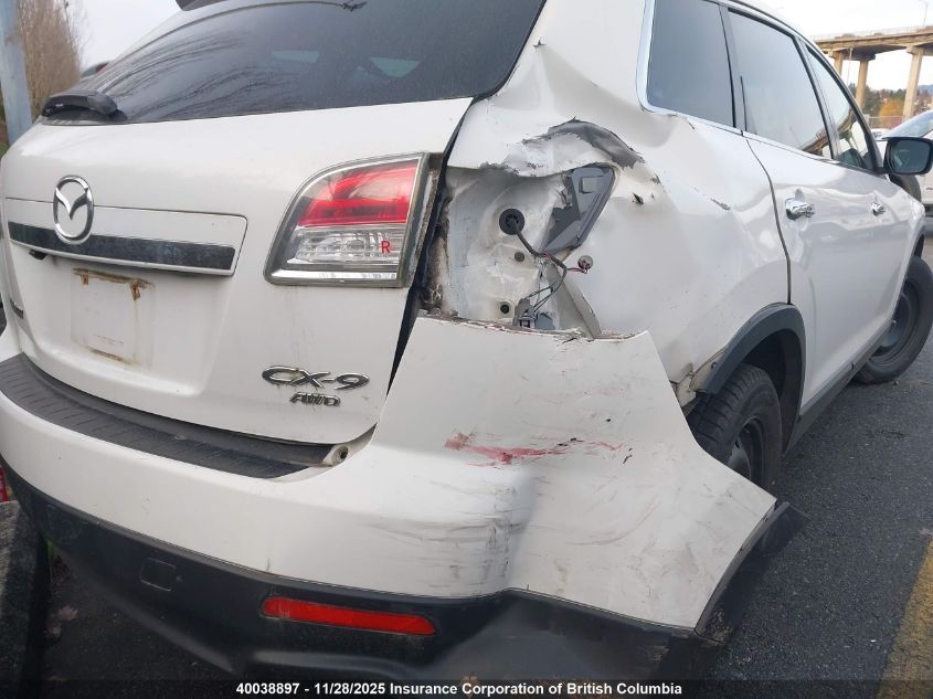 2007 Mazda Cx-9 VIN: JM3TB38Y970119797 Lot: 40038897