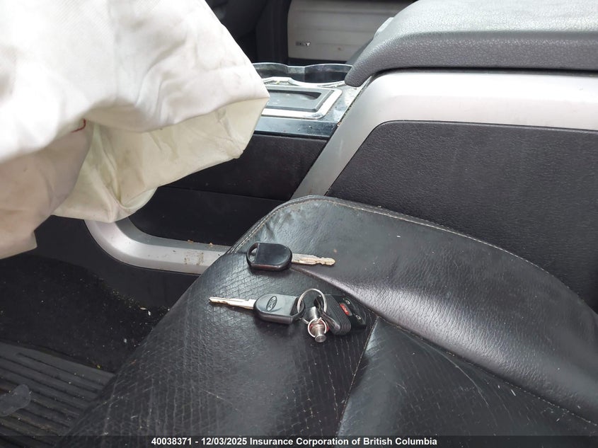 1FTFW1EV1AFA66302 2010 FORD F-150 photo no. 11