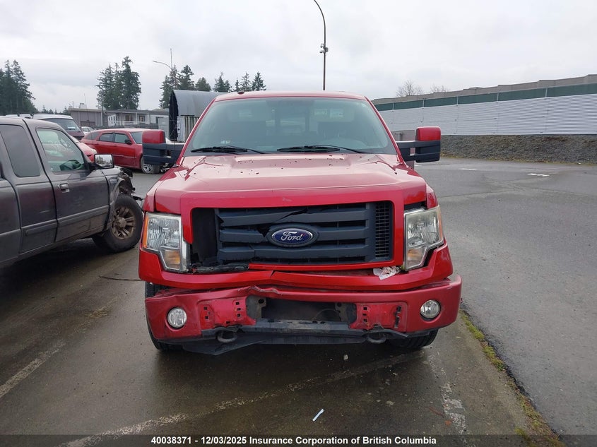 1FTFW1EV1AFA66302 2010 FORD F-150 photo no. 12