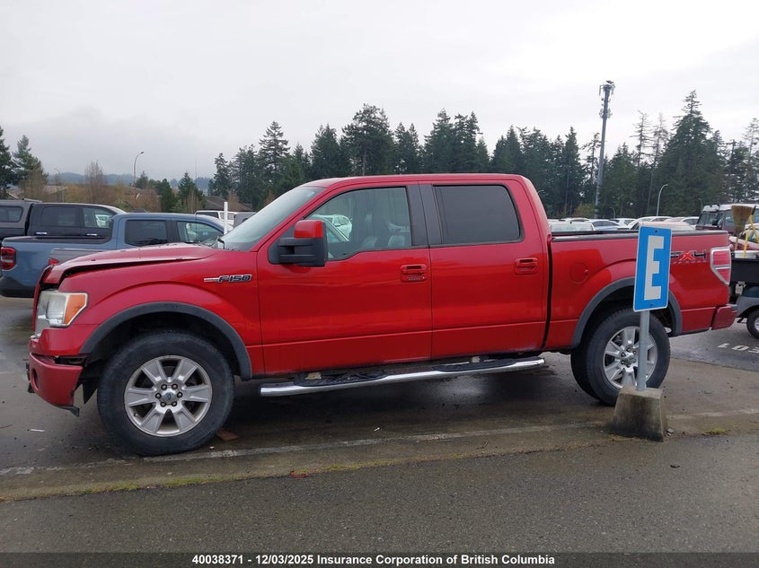 1FTFW1EV1AFA66302 2010 FORD F-150 photo no. 14