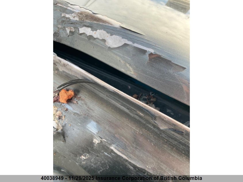 1N6AD07W39C427054 2009 NISSAN NAVARA (FRONTIER) photo no. 18