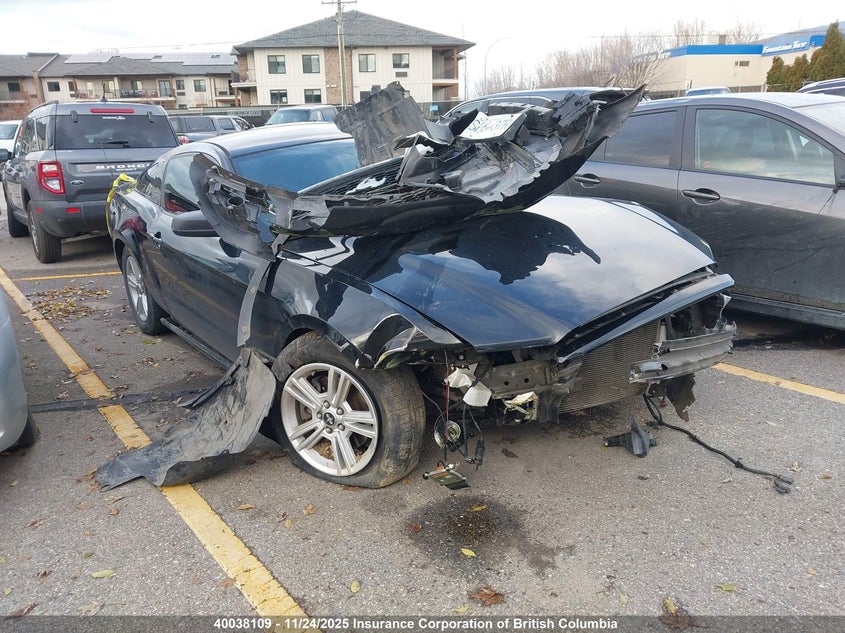 1ZVBP8AM5E5317719 2014 Ford Mustang auction photo 1