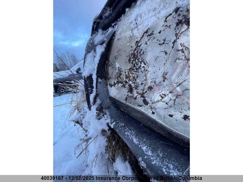 5TEUU42N77Z333263 2007 TOYOTA TACOMA photo no. 11