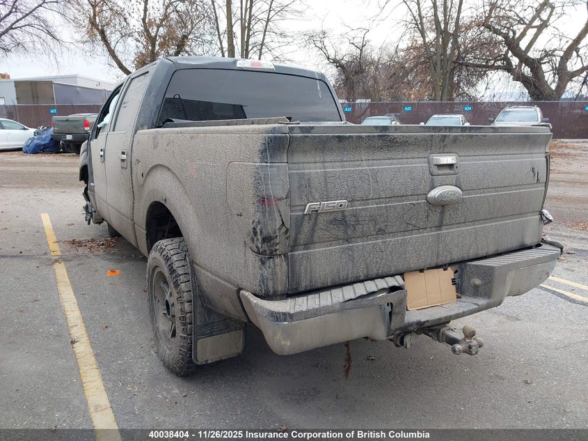 1FTFW1ET6CKD90550 2012 FORD F-150 photo no. 3