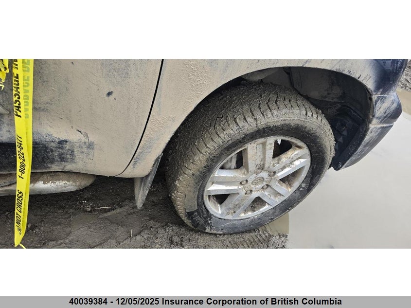 5TBBV58197S455398 2007 TOYOTA TUNDRA photo no. 5
