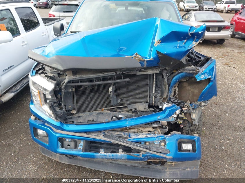 1FTMF1EP7KKC63279 2019 FORD F-150 photo no. 10