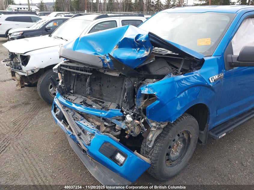 1FTMF1EP7KKC63279 2019 FORD F-150 photo no. 6