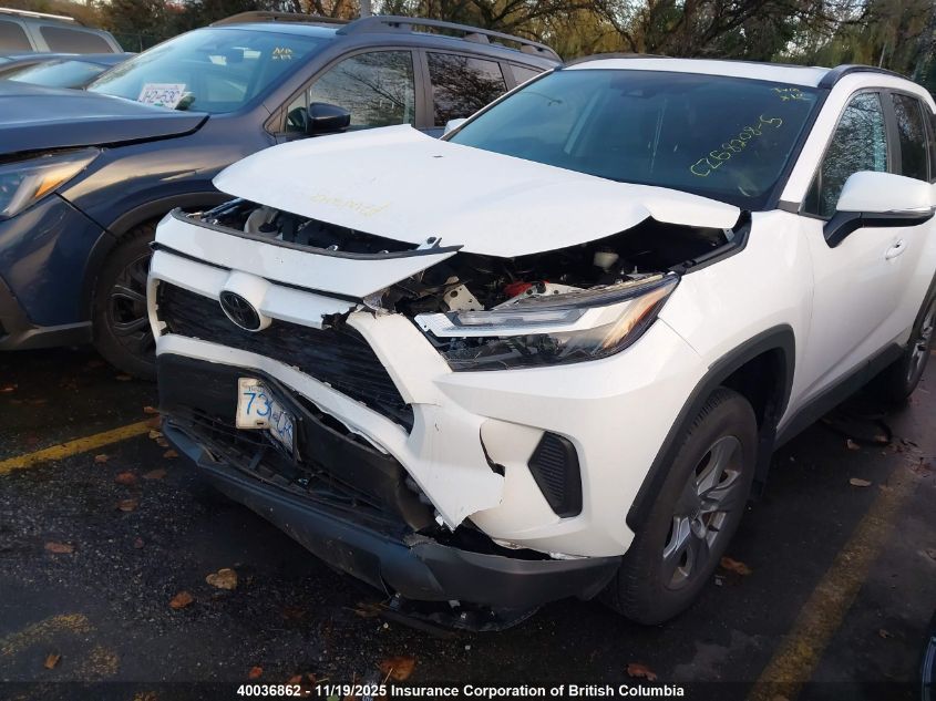 2025 Toyota Rav4 Xle/Xle Premium VIN: 2T3R1RFV8SC491090 Lot: 40036862