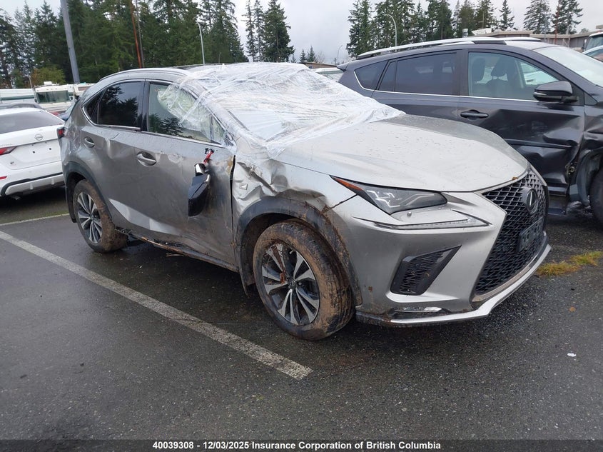 JTJBARBZ8J2154769 2018 LEXUS NX photo no. 19