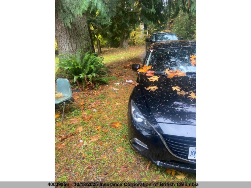 2014 Mazda 3 Touring VIN: JM1BM1L76E1183465 Lot: 40039956