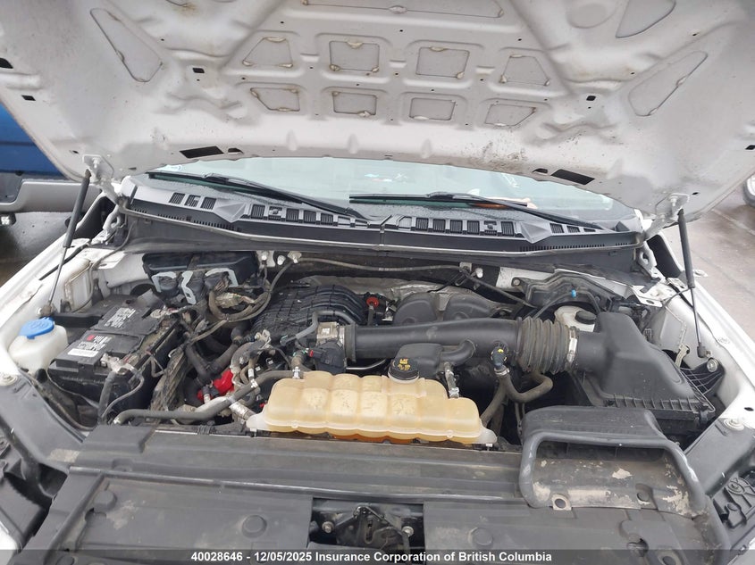 1FTMF1EB7KKD53150 2019 FORD F-150 photo no. 10