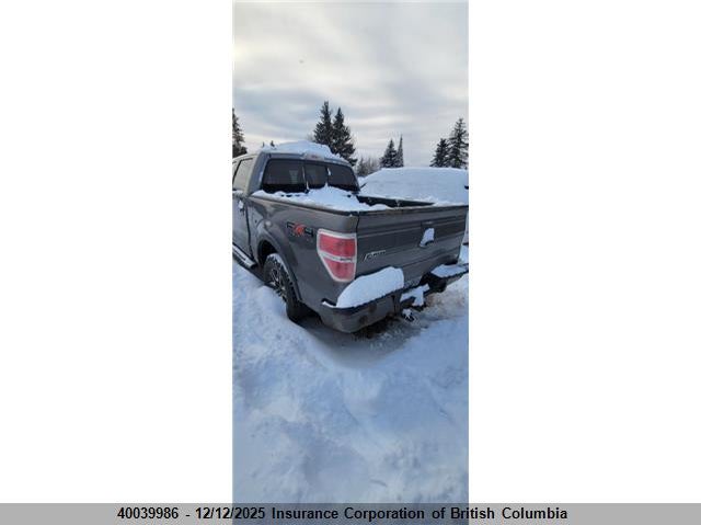 1FTFW1EV9AFD58926 2010 FORD F-150 photo no. 3
