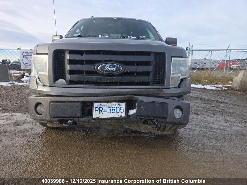1FTFW1EV9AFD58926 2010 FORD F-150 photo no. 8