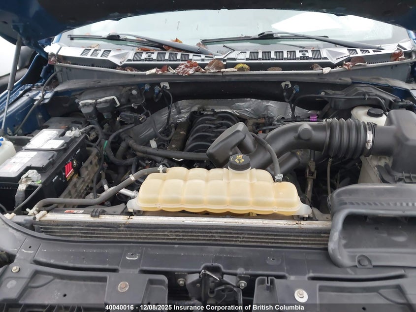 1FTEW1EF4HKE29732 2017 FORD F-150 photo no. 10