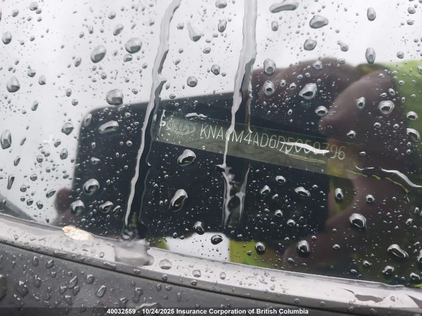 2013 Kia Optima Hybrid VIN: KNAGM4AD6D5059796 Lot: 40032559