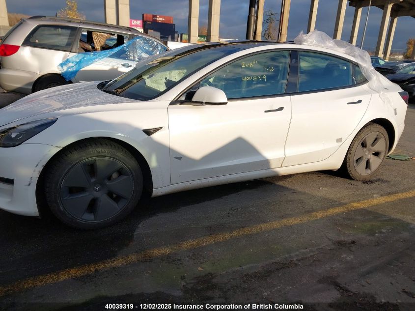 2023 Tesla Model 3 VIN: 5YJ3E1EA3PF404671 Lot: 40039319