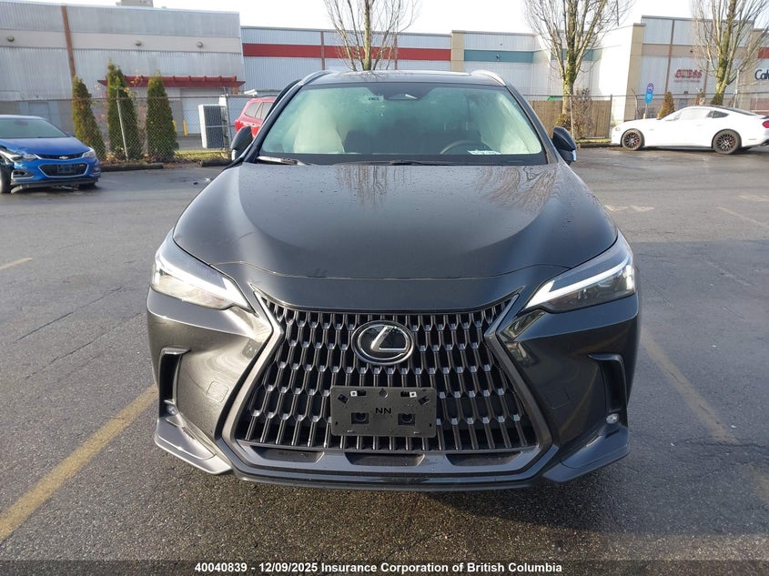 2T2GKCEZ7SC045832 2025 LEXUS NX photo no. 12