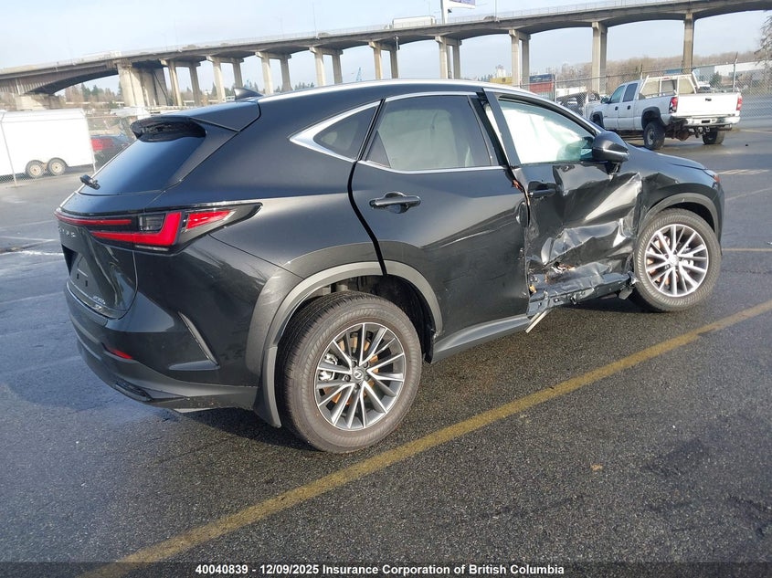 2T2GKCEZ7SC045832 2025 LEXUS NX photo no. 4